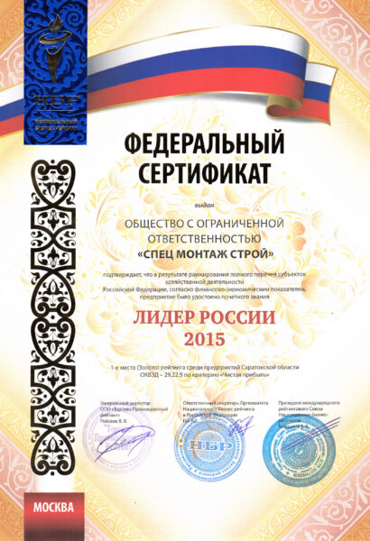 лидер России 2015 (2)
